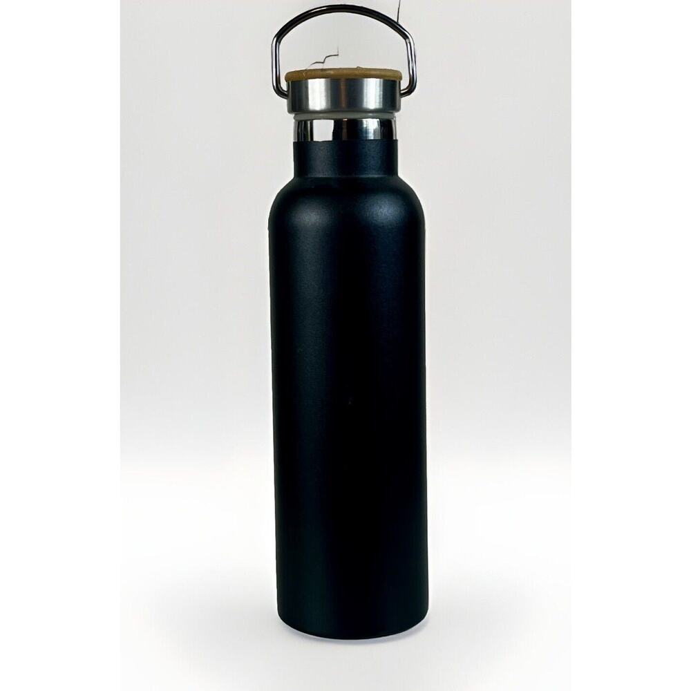 CARSON 26 oz Insulated Water Bottles with Carabiner Lid – Stainless Steel - NWT